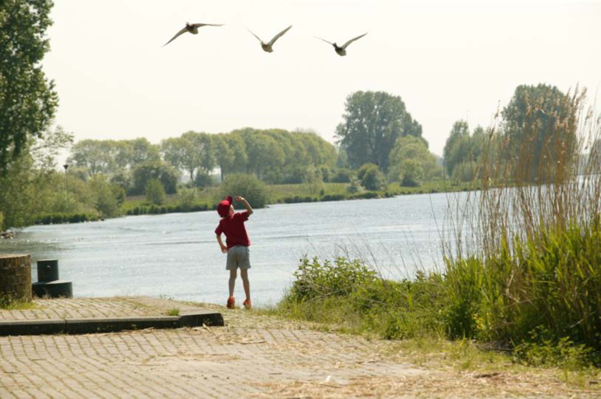 Wandelen